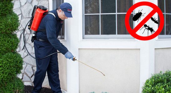 Korgan Kene İlaçlama böcek ilaçlama ve haşere kontrolü — ilaclama-tr.com